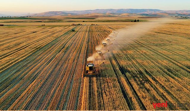 Hisseli Tapu Sahiplerine Fırsat: Tarım Arazileri Masrafsız Birleştirilecek