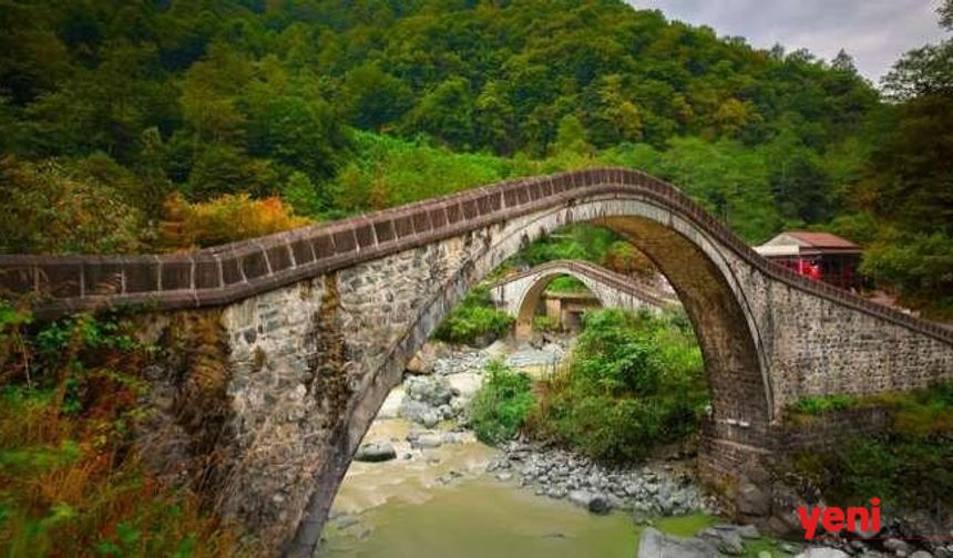 Karadeniz’de Yaşamak Ömrü Uzatıyor! Türkiye’nin En Uzun Yaşam Süresi Gümüşhane ve Trabzon’da